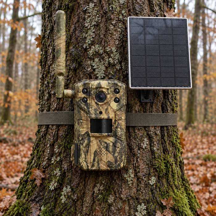 4G-Wildkamera mit separatem Solarpanel – Full HD und 20 MP