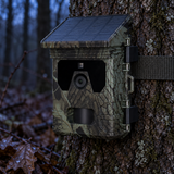 4G-Wildkamera 4K mit Solarpanel – 50 MP, Display und 128 GB
