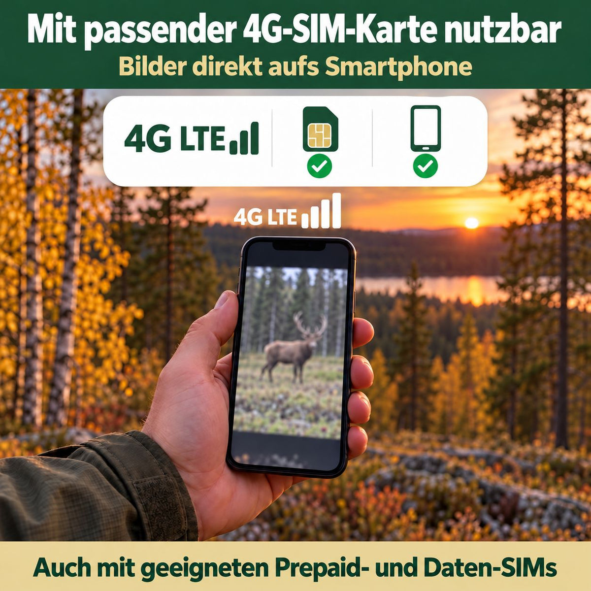 4G-Wildkamera 4K – 10.000-mAh-Akku, SIM-Karte und 32 GB inklusive