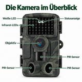 WLAN-Wildkamera 32 MP – Full HD, Bilder aufs Handy ohne Monatsgebühr